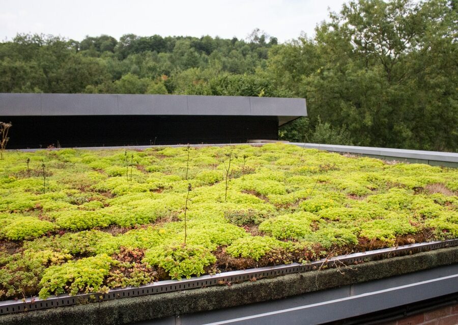 Planted,Eco,Roof