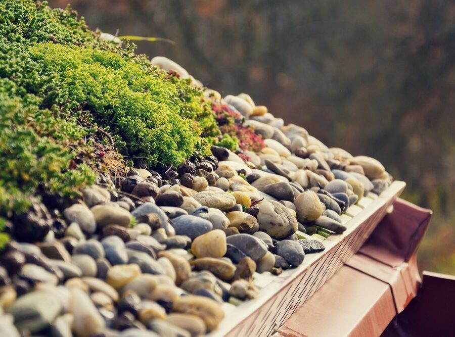 Detail,Of,Stones,On,Extensive,Green,Living,Roof,Covered,With