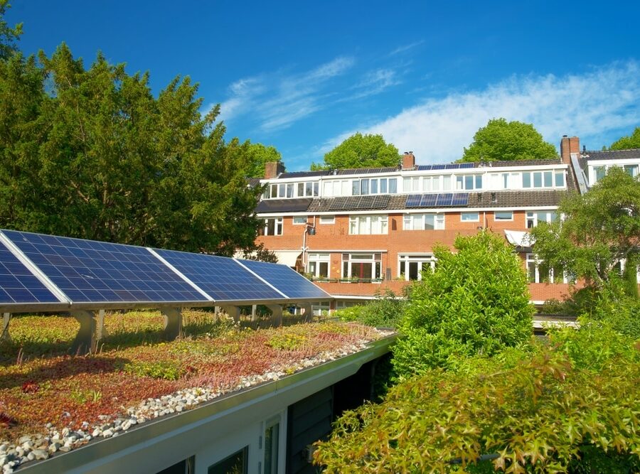 Green,Roof,With,Solar,Panels.,Sedum,Rooftop,Garden,With,Photo