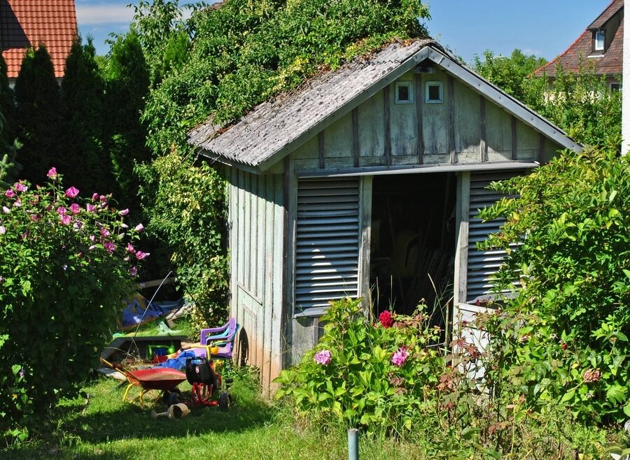 View,Of,Old,Overgrown,Timber,Garden,Shed